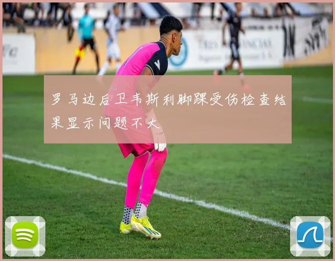 罗马边后卫韦斯利脚踝受伤检查结果显示问题不大